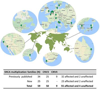 A Meta-Analysis of α-Synuclein Multiplication in Familial Parkinsonism